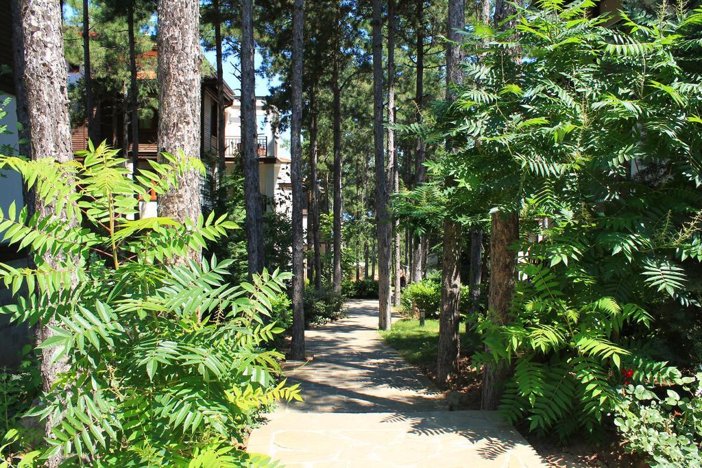 Apartments Dreambg Sozopol Room photo